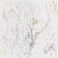 熊谷直人 - 三つの森