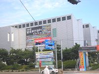 pusan.jpg