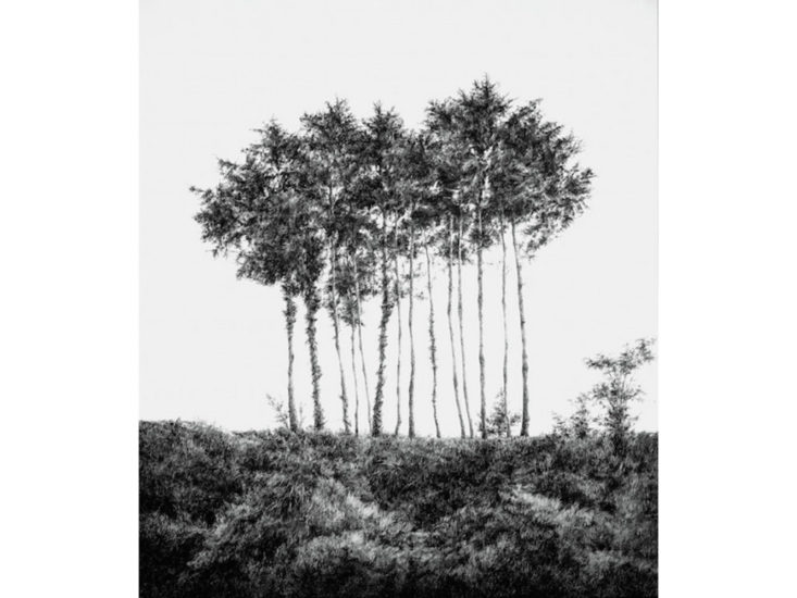 日高理恵子　樹 Trees　1983