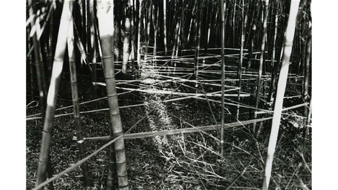 ShigeoToya_slider_20190921_2