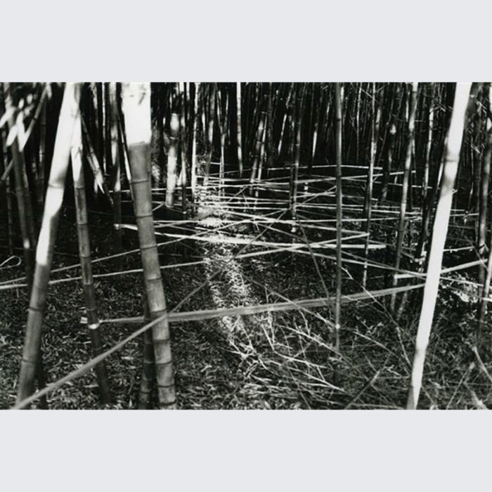 ShigeoToya_sp_20190921