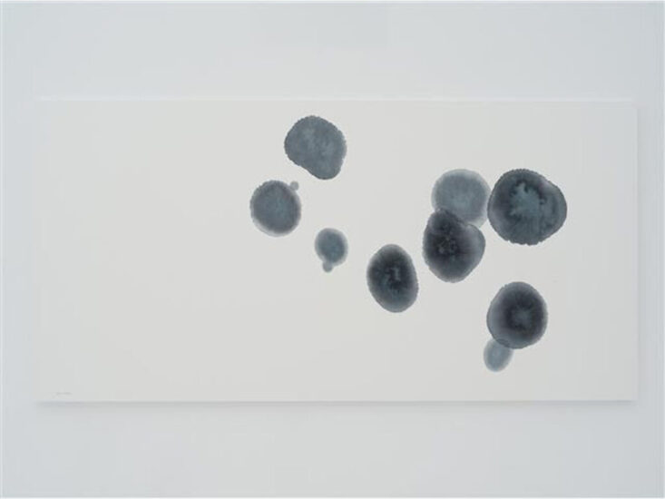 Ayako Someya　Pectolite　2021