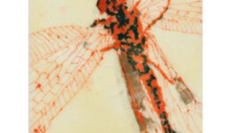 shinsuketsutsui_20210212