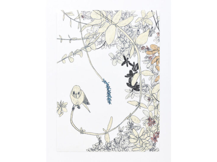 三宅信太郎　Untitled (Botanical Paradise Series)　2021