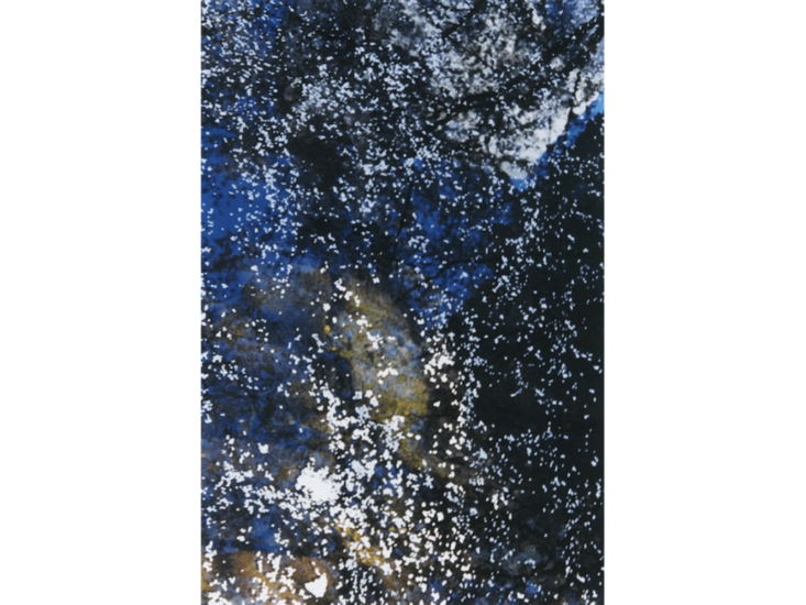 蜷川実花　OLANT A TREE　2011