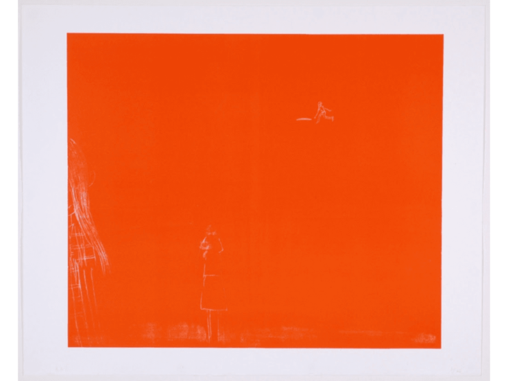 落合多武　frisbee (orange pink)　2004