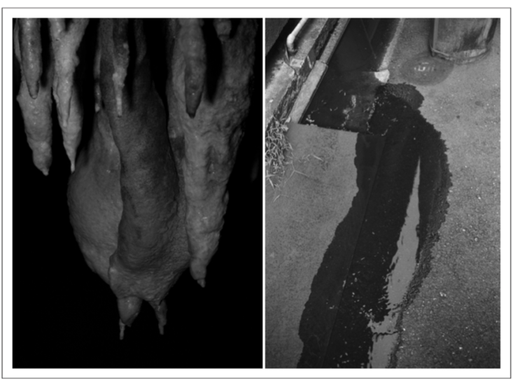 Left)　"The body of Condonement No.13"　2012｜Right)　"2011.09.29.bw.#a16（Photo -Graph）"　2011
