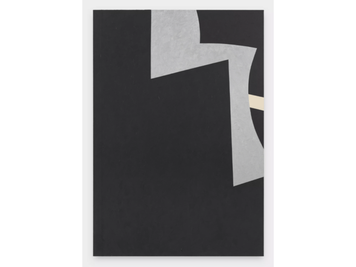virginiajaramillo_20230323