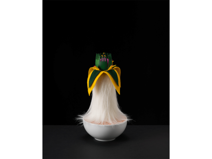 Nina Katchadourian　Plant #30　2021