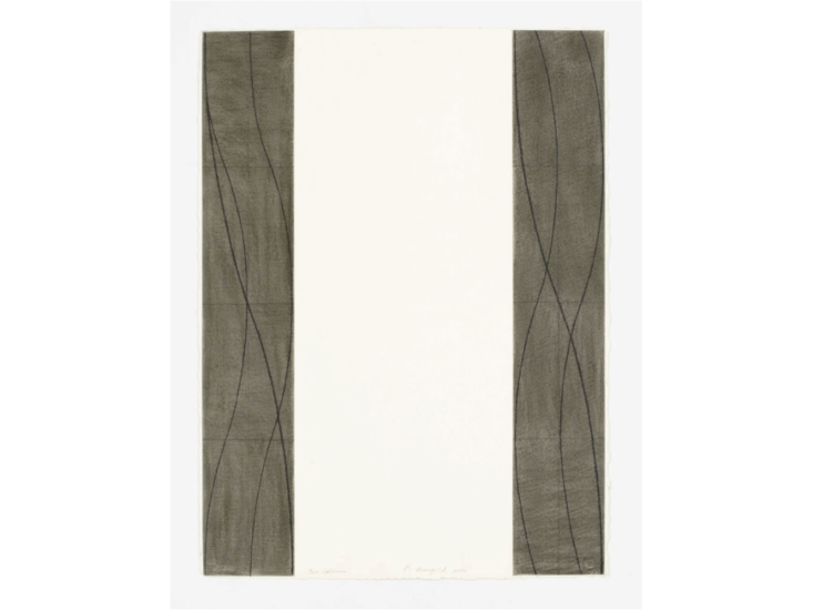 Robert Mangold　Two Columns　2006