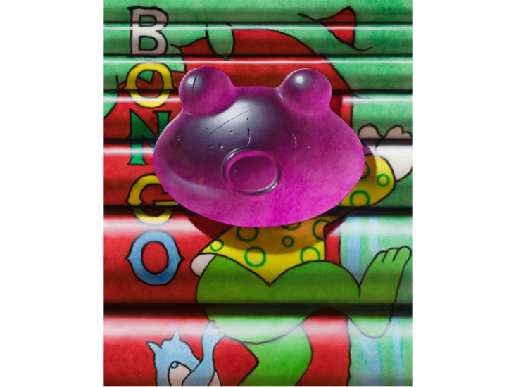 Christian Rex van Minnen　Violet Frog　2021