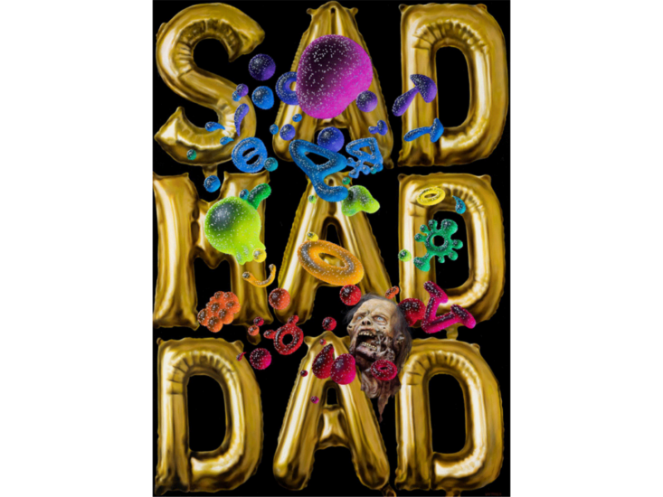 Christian Rex van Minnen　Sad Mad Dad　2021