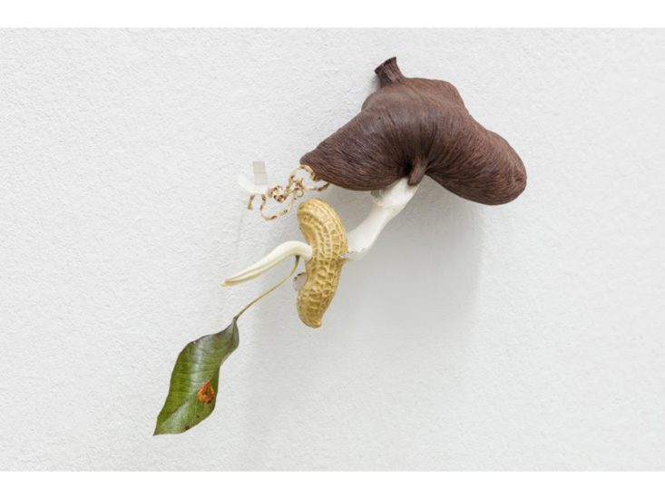 David Fesl　Untitled　2020
