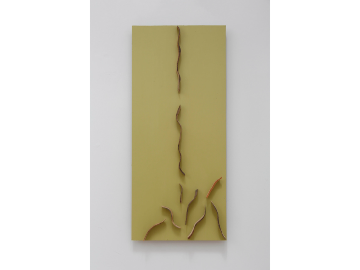 菅木志雄　線画壁 - 華厳　2002