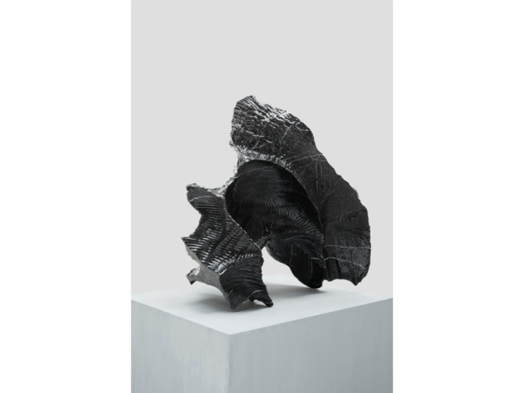 Sui Jianguo　Planting Trace・Stone − Dewdrop　2023