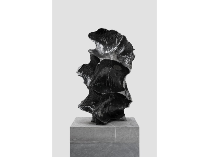 Sui Jianguo　Planting Trace・Stone − Cloud Root　2023