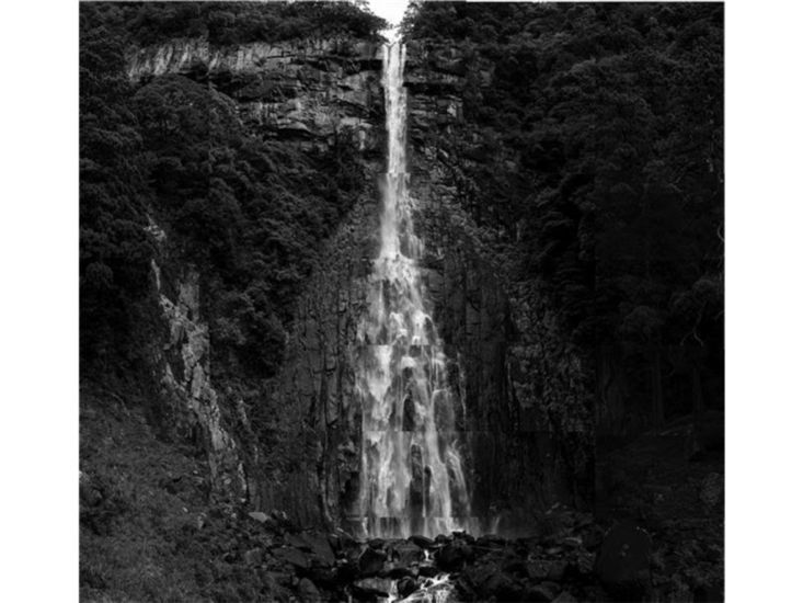 山本糾　落下する水−那智滝９　2023