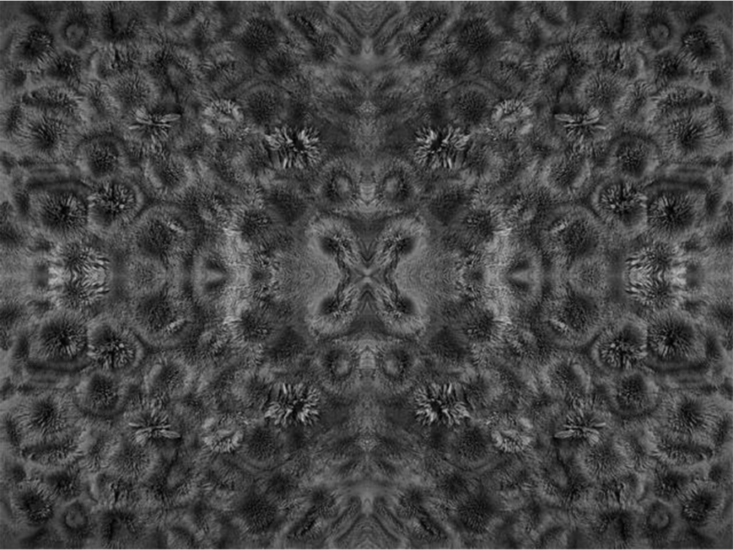 山本糾　Magnetic Field１　2023