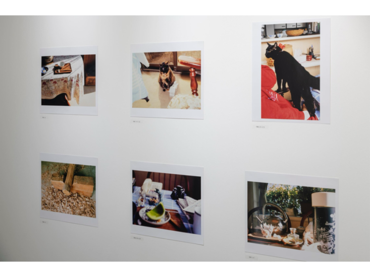 赤瀬川原平写真展「日常に散らばった芸術の微粒子」