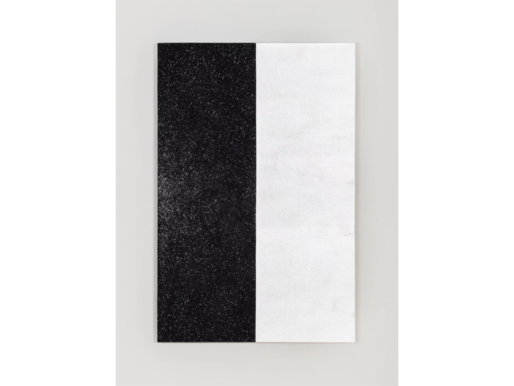 Mary Corse　Untitled (DNA Series)　2017