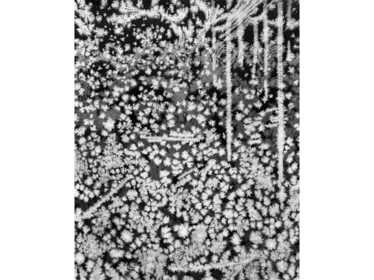 米田知子《氷晶 VIII》2023