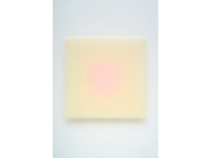 Peter Alexander　9/26/12 (White Pink Square)　2012