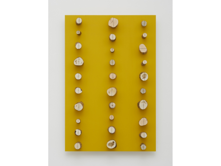 菅木志雄　空輸行 Empty Circles in Parallel　2020