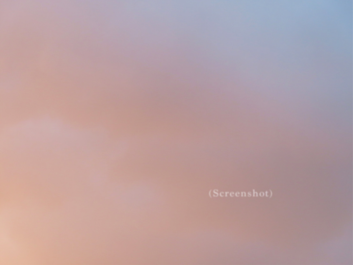 leekit_201212_01