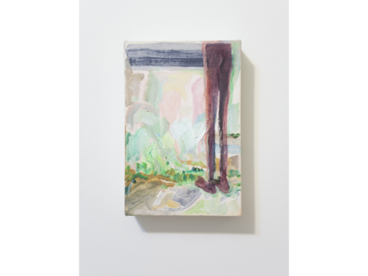 Lucía Vidales　"A simple vista (To the naked eye)"　2018