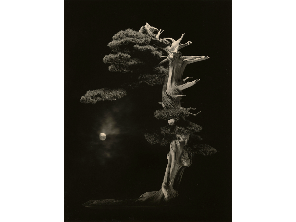 masaoyamamoto_190116_01
