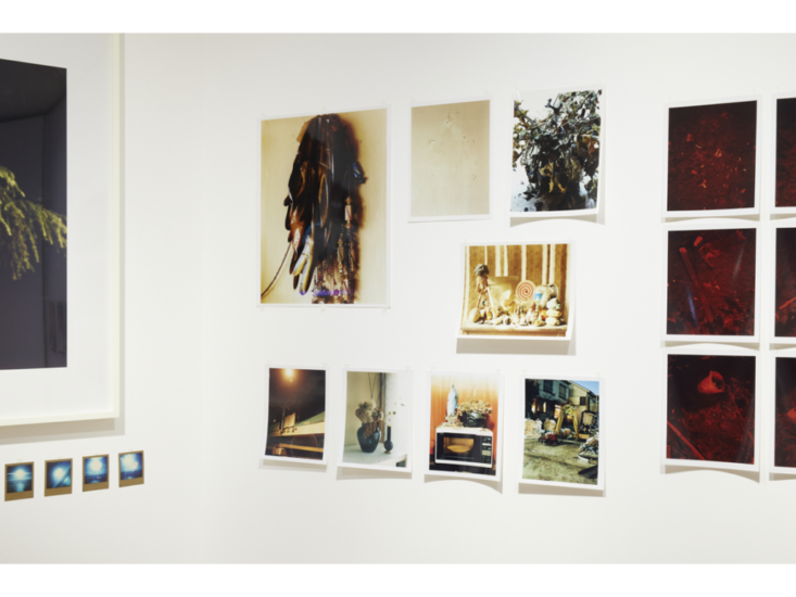 塩田正幸　"Retinagazer"　展示風景