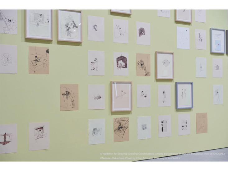 坂本夏子　A Yardstick for Staying: Drawing Constellations Among the Stardust of Signals　2019