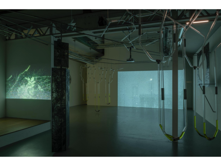 アンヌ＝シャルロット・フィネル、エンツォ・ミアーネス、アンヌ＝シャルロット・イヴェール　"Reciprocal Reliance (相互依存)" curated by Curate It Yourself　2019