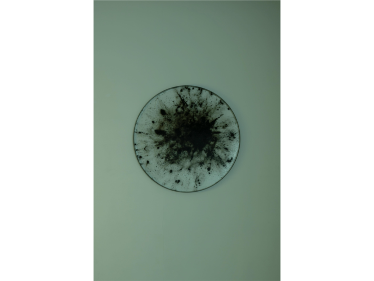 アンヌ＝シャルロット・フィネル、エンツォ・ミアーネス、アンヌ＝シャルロット・イヴェール　"Reciprocal Reliance (相互依存)" curated by Curate It Yourself　2019