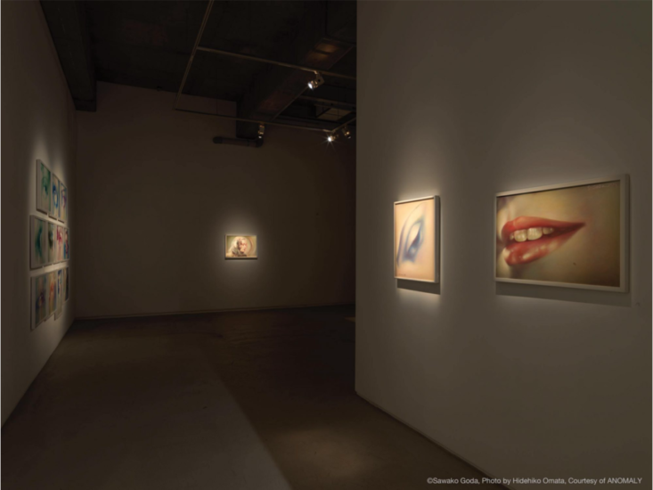 合田佐和子　"合田佐和子展" 展示風景　2019
