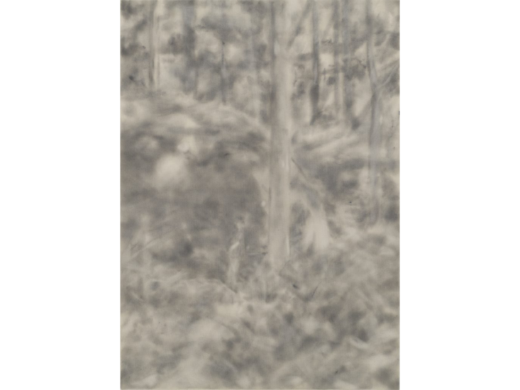 丸山直文　森 (201901)　2019