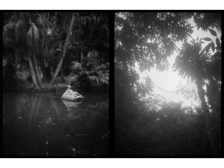 米田知子　A statue in a pond and sky seen through palm trees. Botanical Garden of Hamma, Algiers, Algeria　2017