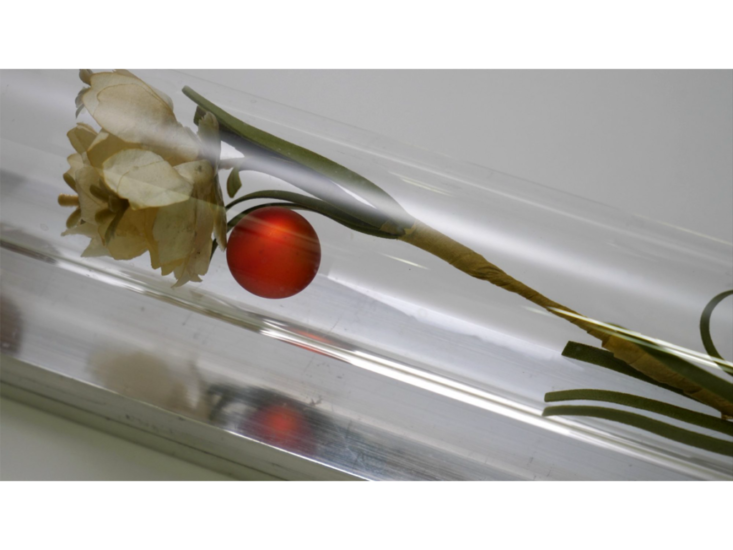 藤本由紀夫　revolution & gravity (artificial flower & glass ball)　2018（部分）