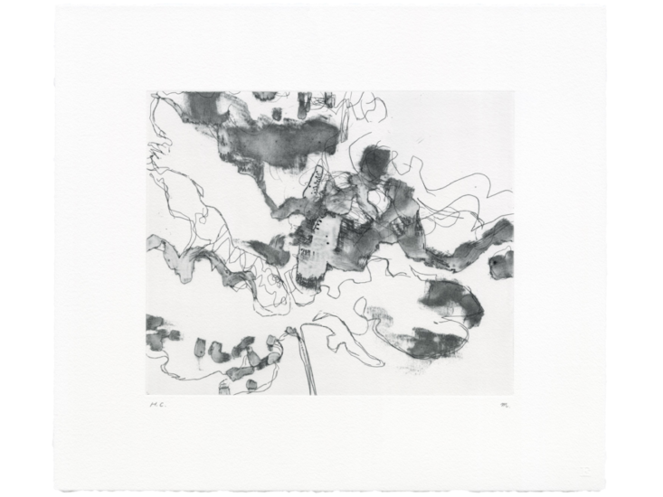 津上みゆき　"View, A Leaf, 28 April 2023"　2023