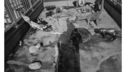 nobuyoshiaraki_190525_01