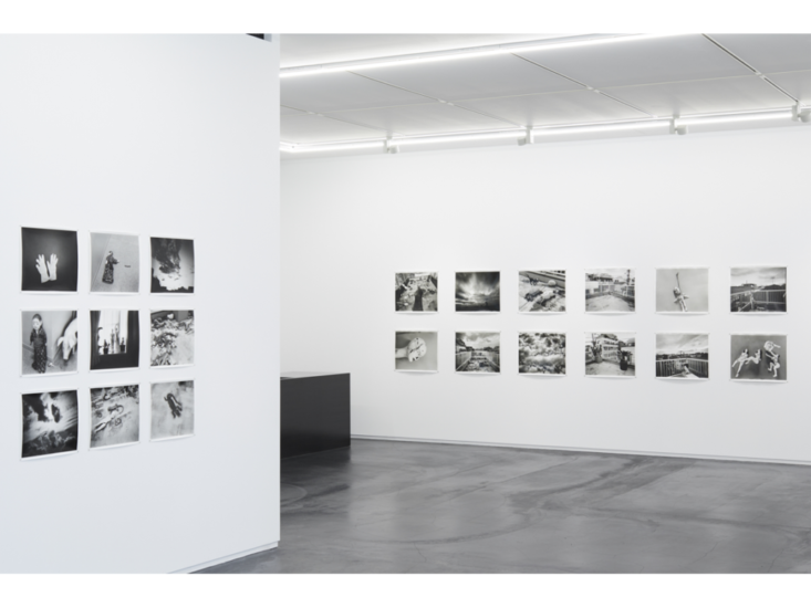 荒木経惟　"梅ヶ丘墓情"　展示風景