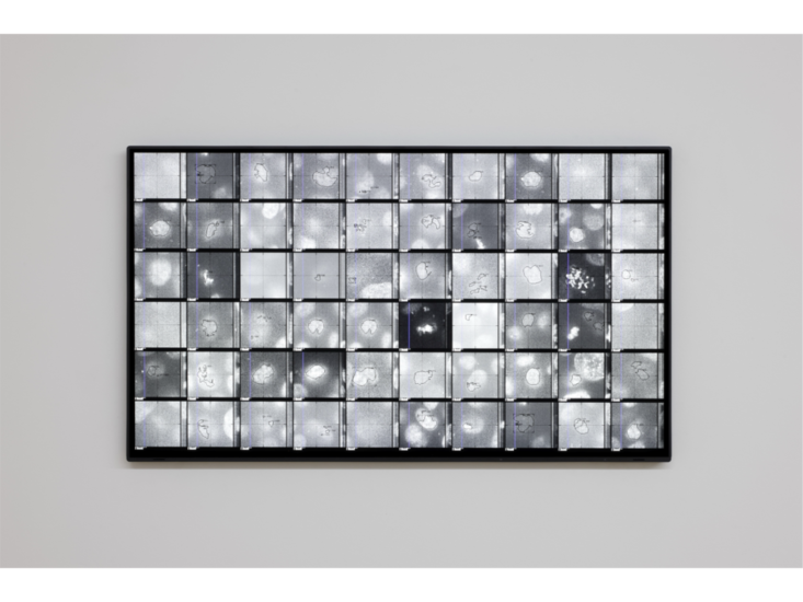 池田亮司　data.gram 13 {cells}