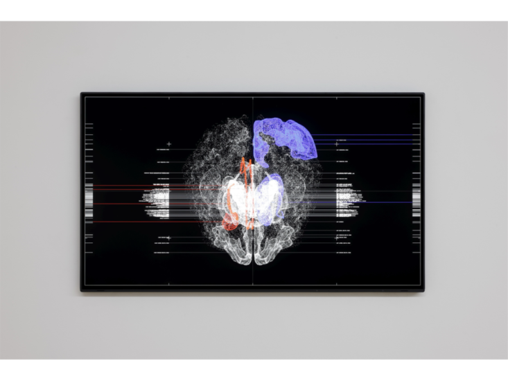 池田亮司　data.gram 16 {human brain}