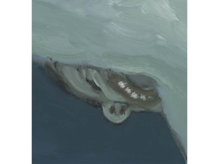 Sanya Kantarovsky　"Cataract" (detail)　2019