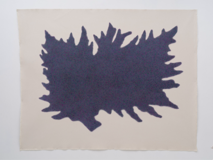 金洪疇　Dark purple　2022