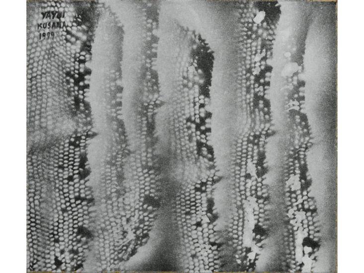 Yayoi Kusama　Butterfly Wing　1979