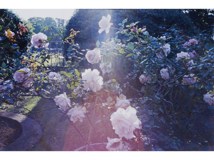 吉野英理香　"Untitled"　2014