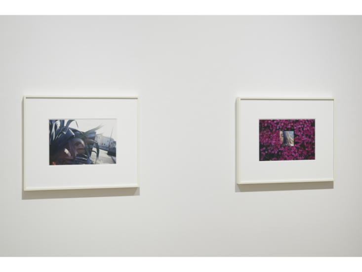 吉野英理香　"MARBLE"　展示風景