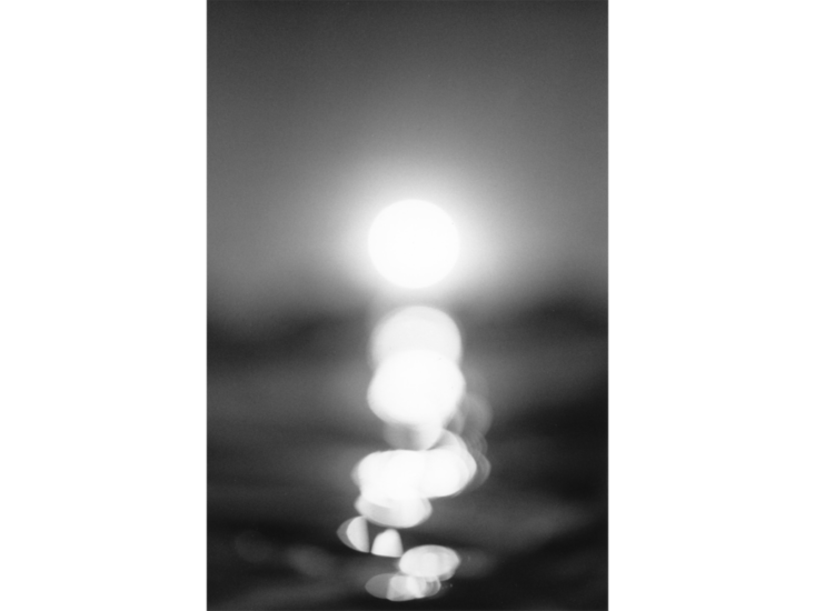 小平雅尋　"Shikinejima, Tokyo 2015.8.6"　2015