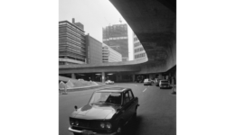 minoruhirata_190309_01